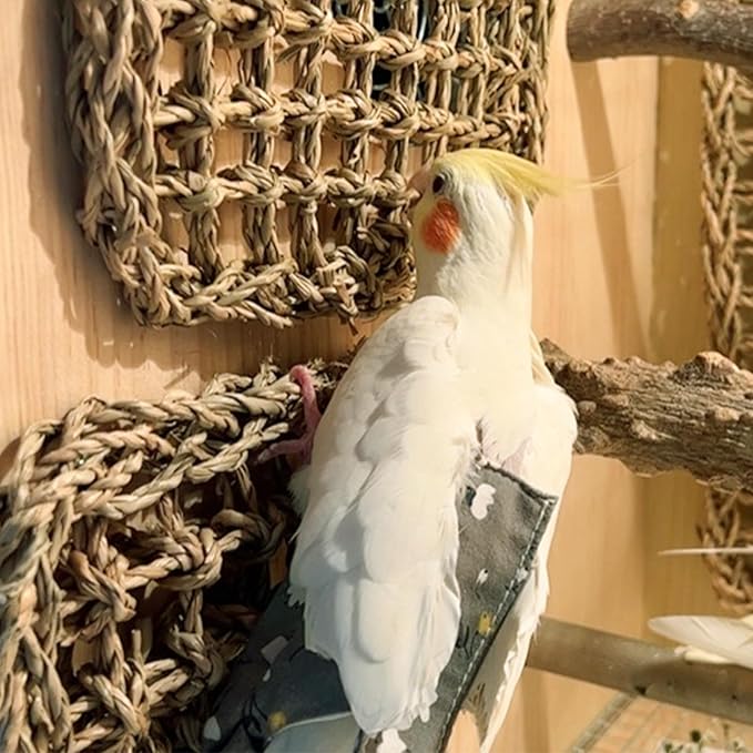 2 PCS 7 x 7 Inches Seagrass Mat, Natural Seagrass Woven Bird Net Hammock Mat, Cage Accessories, Climbing Rope Ladder Chew Toys for Parrots, Cockatoos, Lovebirds, Cockatiels, Budgies, Parakeets