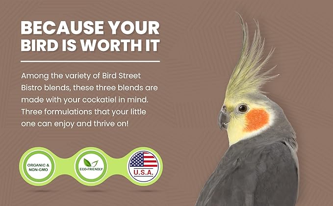 Bird Street Bistro Cockatiel Food Sample 3 Pack - Cooks in 3-15 min w/Natural Whole Grains - Healthy Non-GMO Fruits, Dried Vegetables, Health Orientated Spices