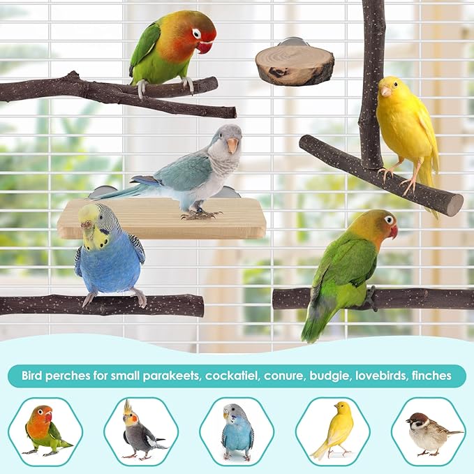 DBNESS Bird Perches, 6 Pcs Natural Wood Parrot Perch Stand Chew Toys, Hanging Multi-Branch Parrot Perch Platform Swing Toy Cage Accessories for Small Parakeets, Budgies, Lovebirds, Canaries, Finches