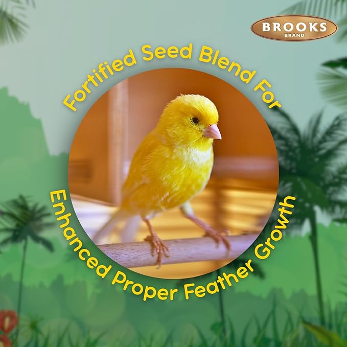 Brooks Brand Grains Plus Canary Blend, Canary Bird Food Seed, Seeds for Birds, Comida para Canarios, Alpiste para Pajaros (4.5 lbs)