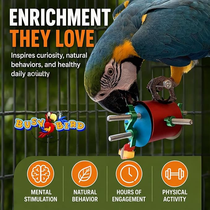 Bird Toys for Large Birds (Barrel) | Treat Dispenser for Macaws, Cockatoos, Cockatiel & Parrots | Bird Foraging Toy for Medium to Extra Large Birds | Natural Foraging Behavior Builder | Colorful Toys
