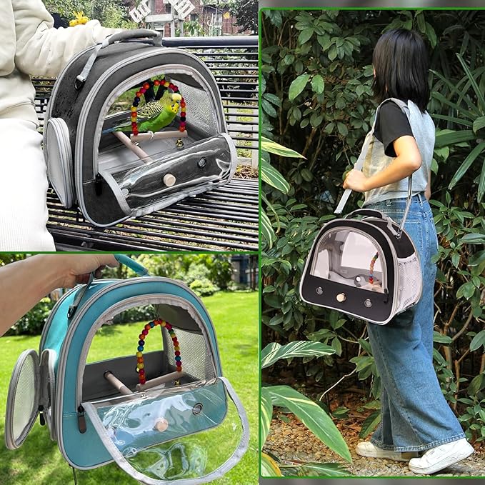 Portable Parrot Travel Cage Carrier with Small Swing Toy&Cage Colorful Toys Set Small Bird Parakeet Bag with Standing Perch Bird Carry Transport Bag (Pink, Carrier/Swing)