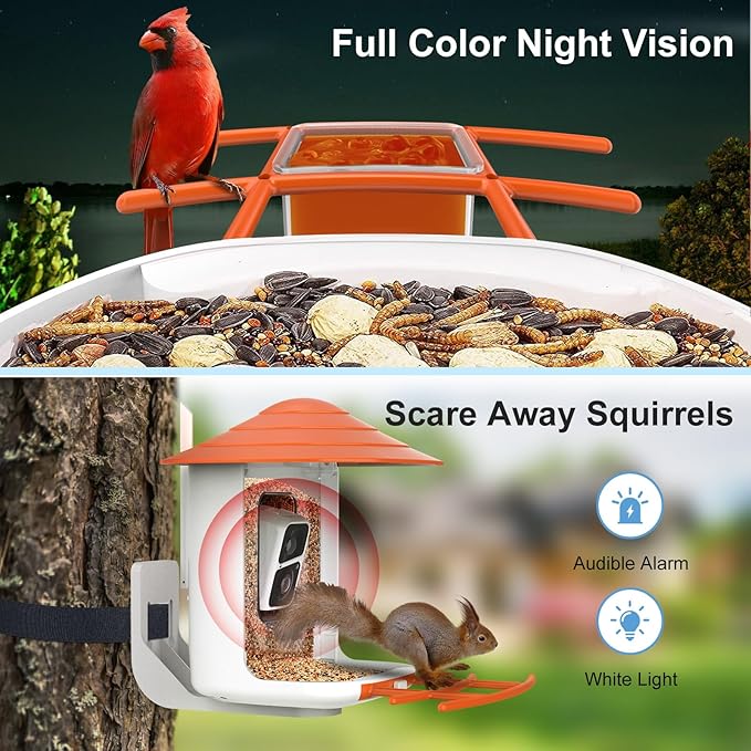 birdsnap® TUC Bird Feeder with Camera 2K HD Live with 32GB Card Auto Detect & Notify AI Identify Camera Birds Feeders Solar Powered Wireless Outdoors Backyard Gift for Mom Dad Birds Lover, 2.4G WiFi