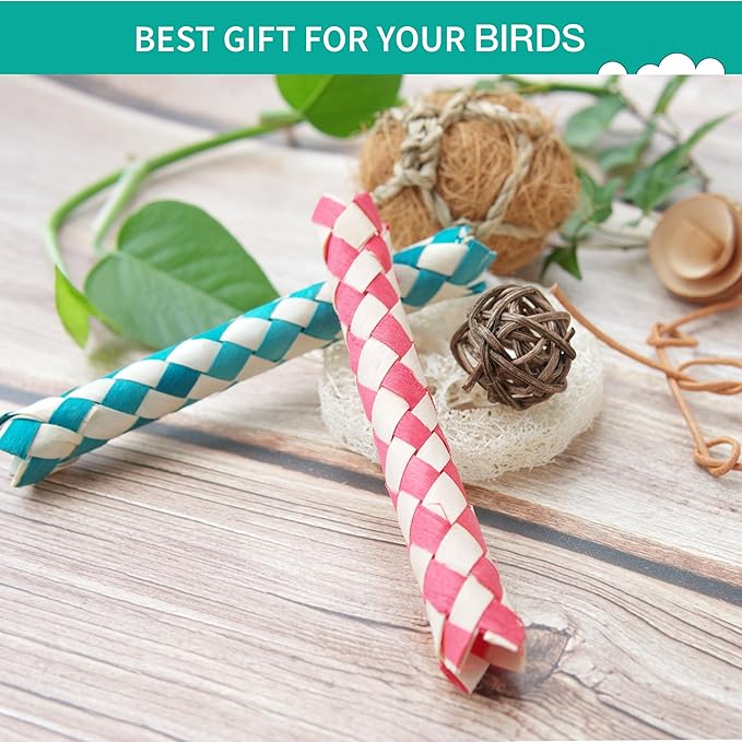 Bird Toys - Natural Foraging & Shredding Box for Parrots | Colorful Chew Toy | Ideal for Cockatiels, Conures, Lovebirds & Small Medium Birds