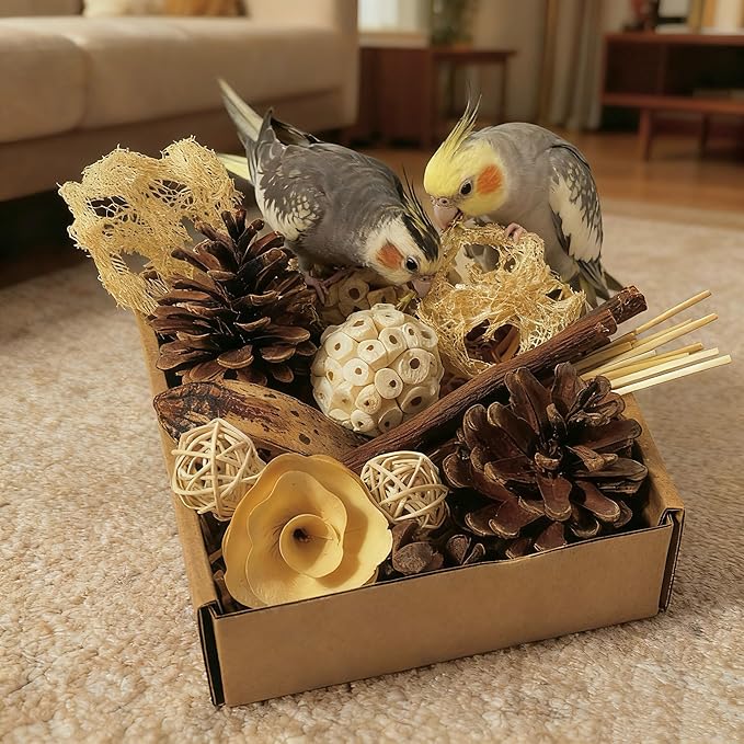 Bird Toys - Sola Ball Foraging Box, 10 Natural Ingredients | Chewing and Shredding Parrot Toys | Ideal for Parakeets/Cockatiels/Conures/Lovebirds and Small to Medium Birds