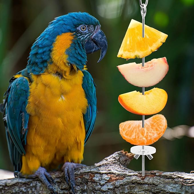LELE LIFE 5Pcs Bird Cage Food Holder, Hanging Parrot Fruit Vegetable Skewer, Stainless Steel Bird Foraging Toys Bird Cage Feeder for Parakeet Budgie Bird Cage Accessories