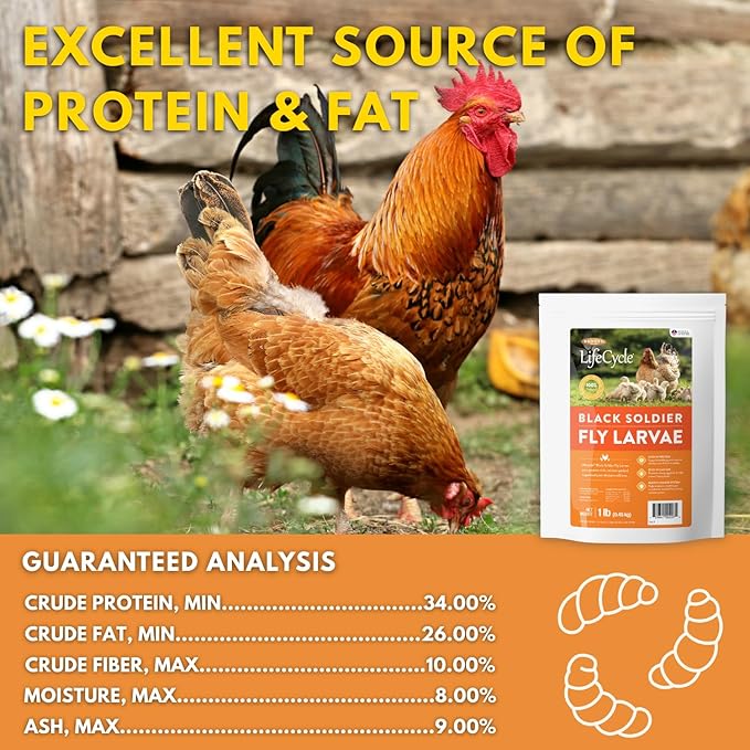 Brooks Brand Black Soldier Fly Larvae Chicken Treats, Mealworms Alternative, Grubs for Chickens, High Calcium for Laying Hens, Made in USA, 1 lbs
