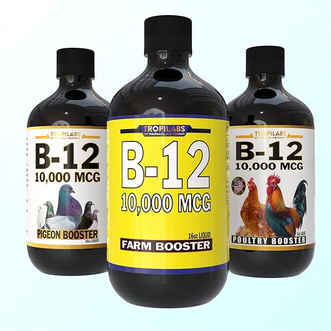 B12 B-12 Liquid 10,000 MCG Supplement for Poultry Birds, Chickens, Hens, Roosters, Pigeons, Ducks, Gooses, Turkeys & All Farm Animals 16oz Vitamin Drinking Water Additive (Farm Booster)