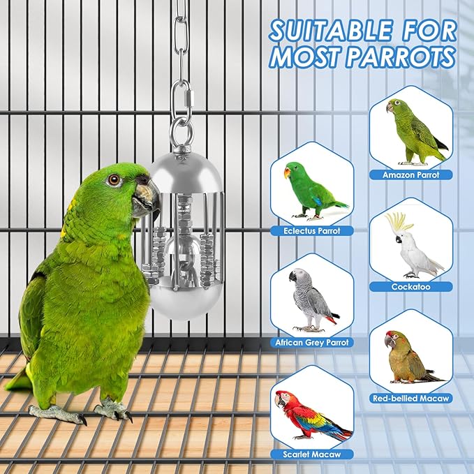 DBNESS Stainless Steel Bird Toys, Heavy-Duty Detachable Chain Chew Durable Metal Parrot Enrichment Toy for Medium to Large African Greys, Amazons, Cockatoos, Macaws