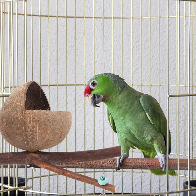 Ipetboom Coconut Bird Nest: Natural Coconut Shell Bird Nest - House Hut Cage with Perch Bell House - Hut Cage for Pet Parrot Parakeet