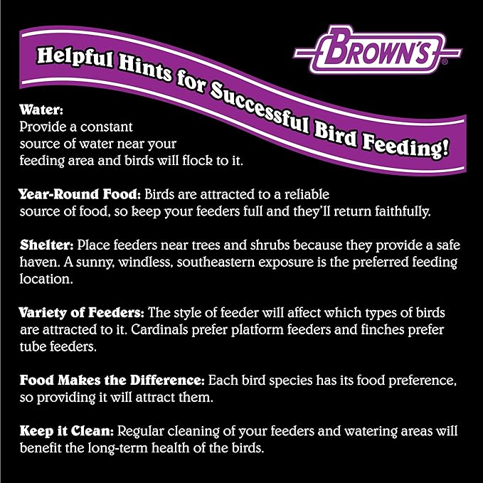 F.M. Brown's Song Blend Nyjer Thistle Seed for Pets, 5-Pound