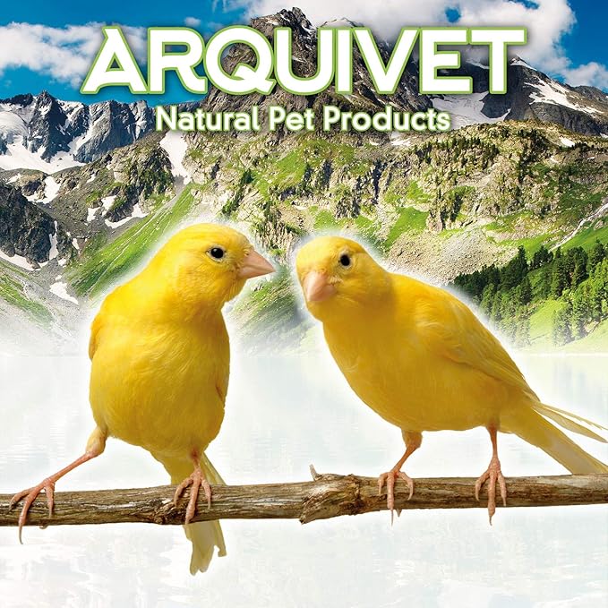 Arquivet 8435117854956 – Parrot Stainless 0.56 Feeder L