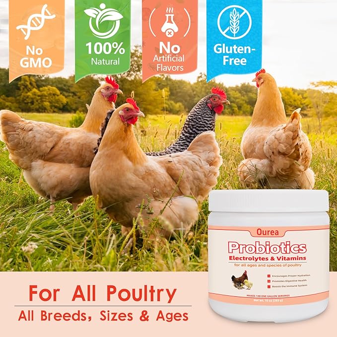 Chicken Electrolyte, Vitamin & Probiotic Supplement - Support Hydration Digestion Immunity Egg Production – Poultry Supplement for Chickens, Ducks, and All Ages of Birds – All-Season Use,10oz Powder