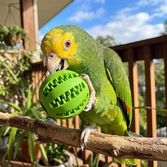 4 Pcs Parrot Feeder Chew Toy Balls, Bird Foraging Interactive Toys for Small & Medium Birds, Parakeet, Parrots, Lovebirds, Macaws, Hamsters, Guinea Pigs