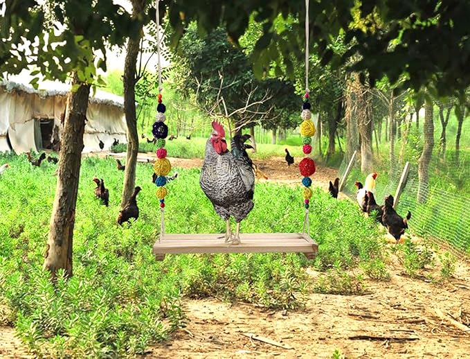 Chicken Swing and Perch - Handmade Wood Stand Coop Toy for Hens - Accessories Ladder for Poultry Run - Large Bird Parrot Hen Macaw Rooster Chick Toy