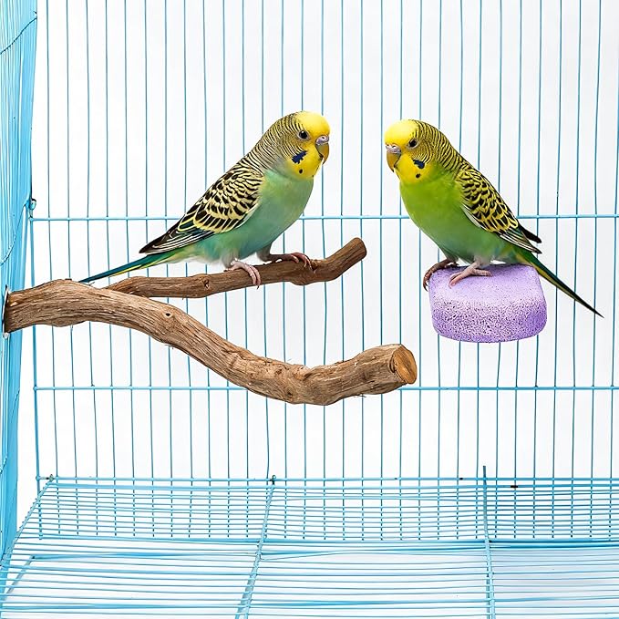 3 Pack Parrot Perch Stands Birds Stand Pole Natural Wild Grape Stick Grinding Paw Climbing Standing Cage Accessories Toy Branches for Parakeet, Budgies, Lovebirds (Style-4)