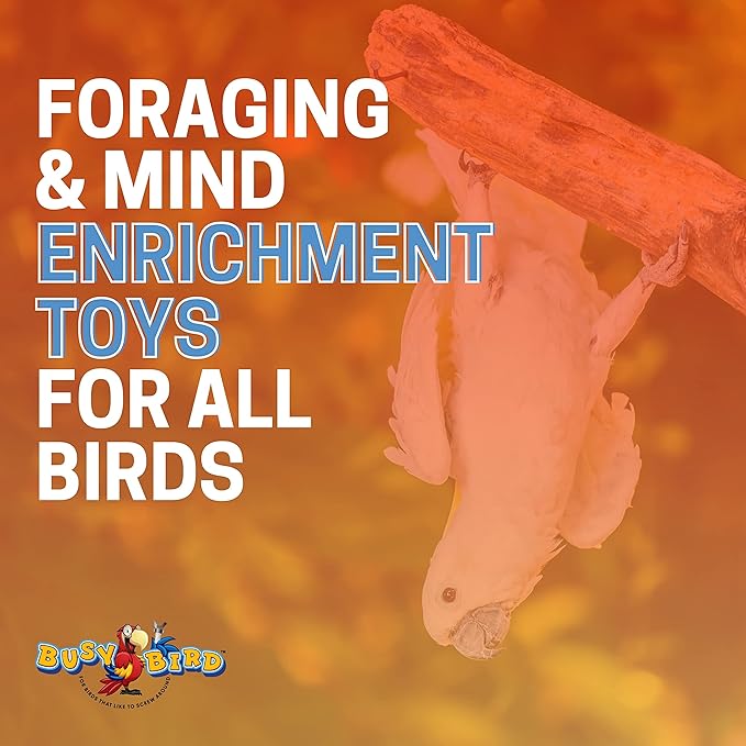Bird Toys for Large Birds (Spinner) Stainless Steel Bird Toy with Traveling Spinner | Macaw Toys | Durable Puzzle Enrichment Toy for Medium to Large Birds Cockatoos Parrots | Bird Cage Accessories