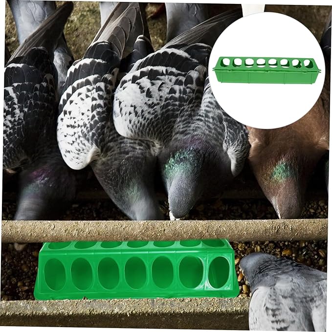 3 Pack Large Pigeon Feeder, 11.8 * 3.93 * 3.14inch - Thick Durable Slot Container Feeding Dish, Food Dispenser Tool for Pigeon Chicken Bird Poultry (Random Color)