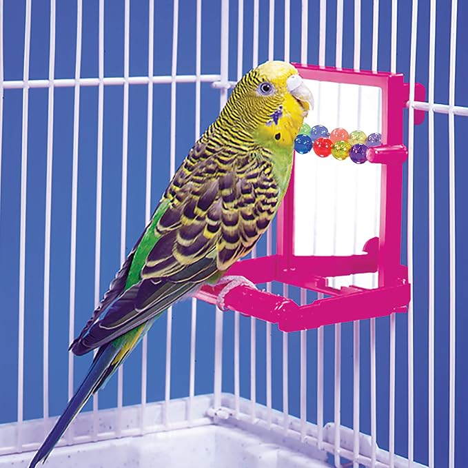 Penn-Plax Bird Life - Landing Perch with Mirror and Beads - Perfect for Parakeets, Finches, and Other Small Birds (BA504) (Pack of 2)