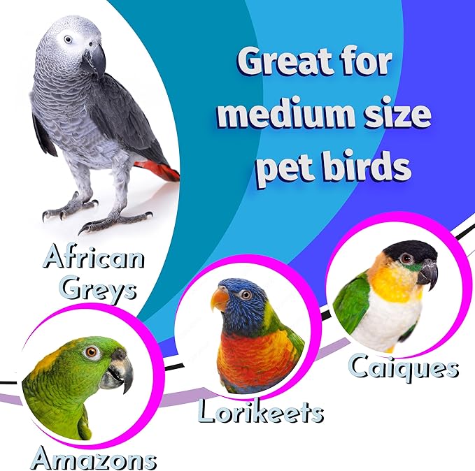 5017 Pk4 Seagrass Sphere Chewers – Handwoven Natural Foraging & Chew Toys for Parrots– Shreddable Bird Foot Toys – Enrichment & Cage Toys for Small & Medium Birds - Made with Natural Seagrass Strips
