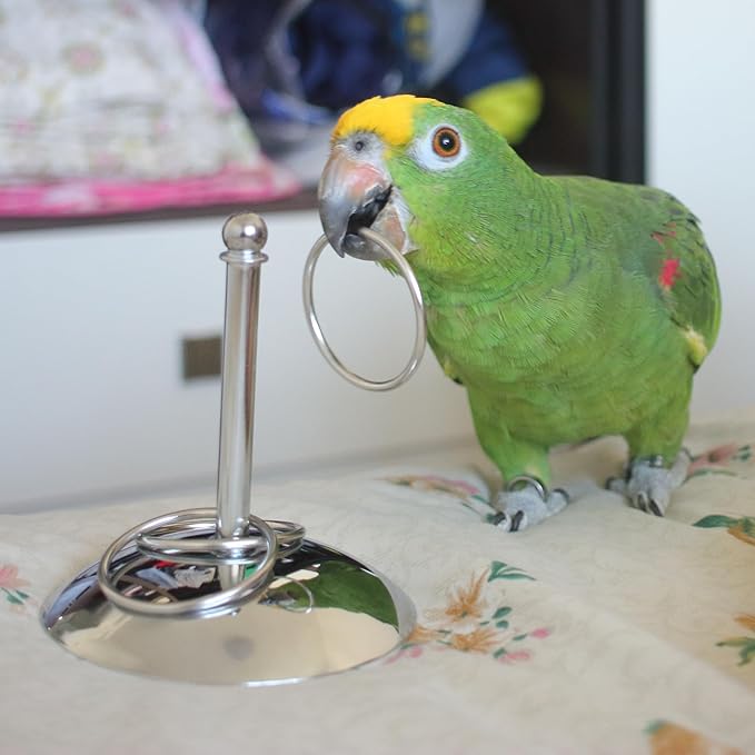 Stainless Steel Parrot Ring Toss Toy – Interactive Training & Enrichment Bird Toy, Bite-Proof Design for Anxiety Relief & Exercise Fun for Cockatoos, Macaws, African Greys (Large)