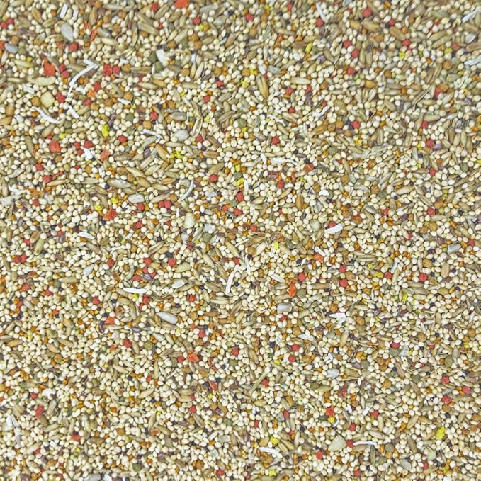 Higgins 2 Pack of Sunburst Gourmet Blend Parakeet Food, 2 Pounds Each, with Protein Egg Food