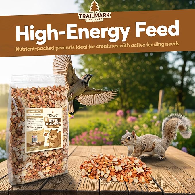 5 LB - Raw Shelled Peanuts For Squirrels, Out of Shell Peanuts For Birds and Wildlife- Squirrel Food, Wild Bird Seed - Grown in The USA
