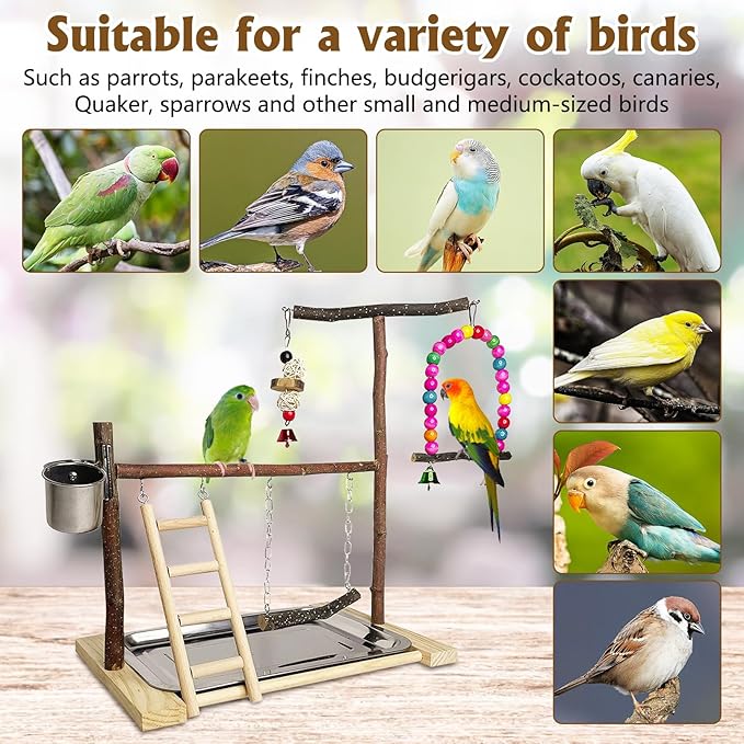 Bird Playground Parrot Playstand Parakeet Gym Playpen Cockatiel Play Stand Wood Perch Exercise Activity Center Ladders Feeder Cups Cage Accessories Swing Chew Toys for Cockatoo Budgie Lovebird Finch