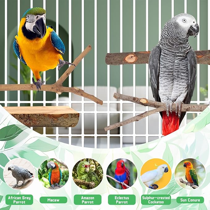 4-Pack Natural Wood Bird Perch Stand with Spacious Platform, Thick & Long Branches, Large Parrot Cage Accessories for African Grey, Macaws, Conures, Eclectus (Medium & Large Birds)