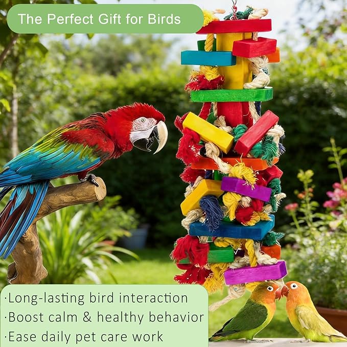 Parrot Toys for Large Birds, Natural Wood Multicolor Durable Chew Toys for Macaws, African Grey & Amazon Parrots, Ideal Pet Gift