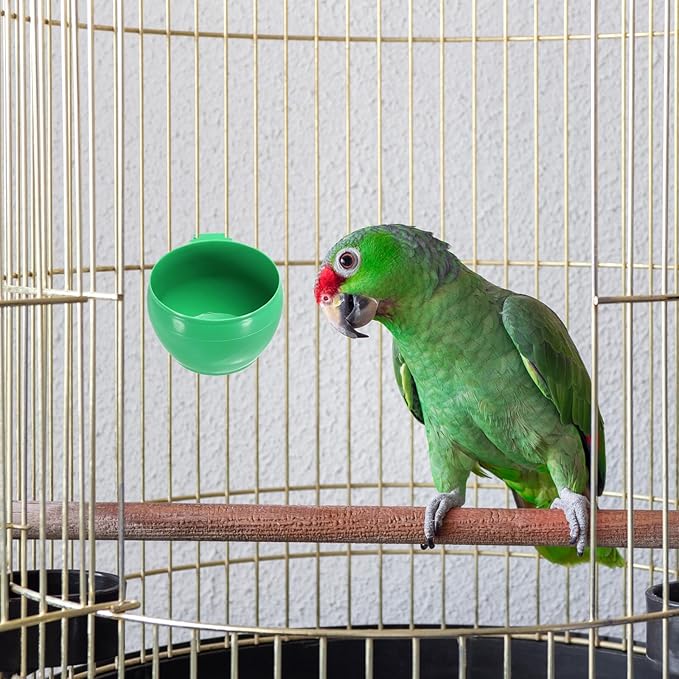 PATIKIL 2" Large Bird Feeder Cage Cups, 3 Pack Pigeon Water Bowl Round Feeding Sand Cup Hanging Container for Poultry, Green