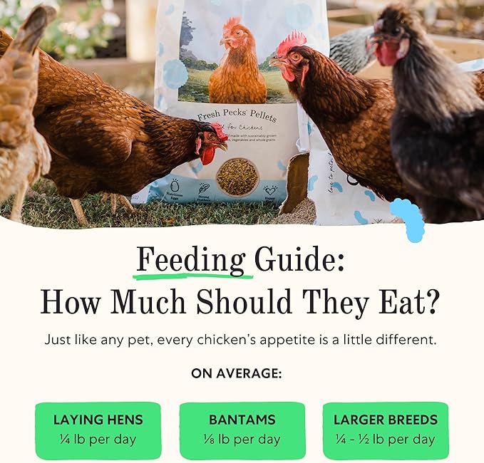 Grubbly Farms Fresh Pecks Layer Chicken Feed Textured Mix - 16% Layer Feed for 20+ Week Old Hens, Batams, and Larger Breeds - Contains Black Soldier Fly Grubs - No Soy, Corn, or Fish - 30 lb Bag