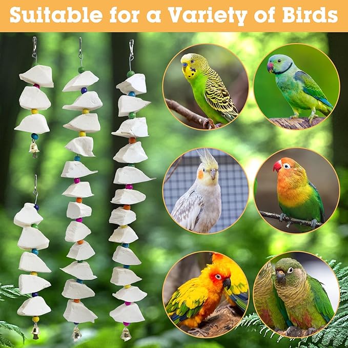 BNOSDM Bird Toys with Cuttlebone 4 Pack Hanging Cuttle Bone Chew Toys Natural Bird Beak Grinding Stone Parakeet Calcium Toys Bird Cage Accessories for Budgies Cockatiels Lovebirds Conures Parrots (12)