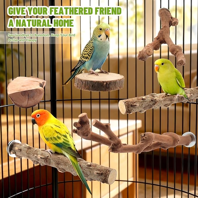6-Piece Natural Wood Bird Perch Set - Forked Grapevine Branches, Prickly Ash Sticks & Apple Wood Platforms - Habitat Standing Accessories for Parakeets, Cockatiels, Conures, Budgies
