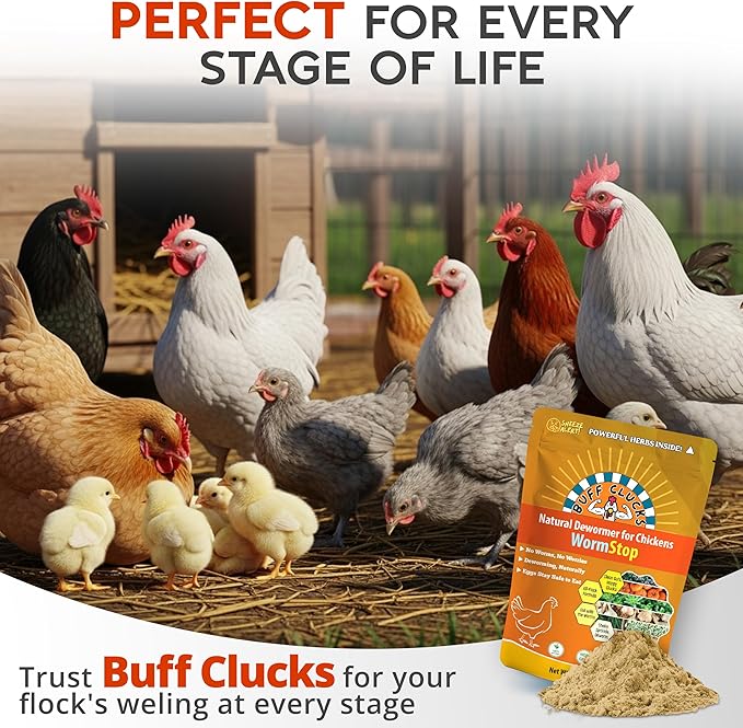 Buff Clucks WormStop Natural Chicken Dewormer Powder – All-Natural Herbal Blend for Daily Wellness - Chicken Wormer is Safe for Eggs & All Ages - Garlic, Pumpkin Seed, Wormwood - USA (8 oz)