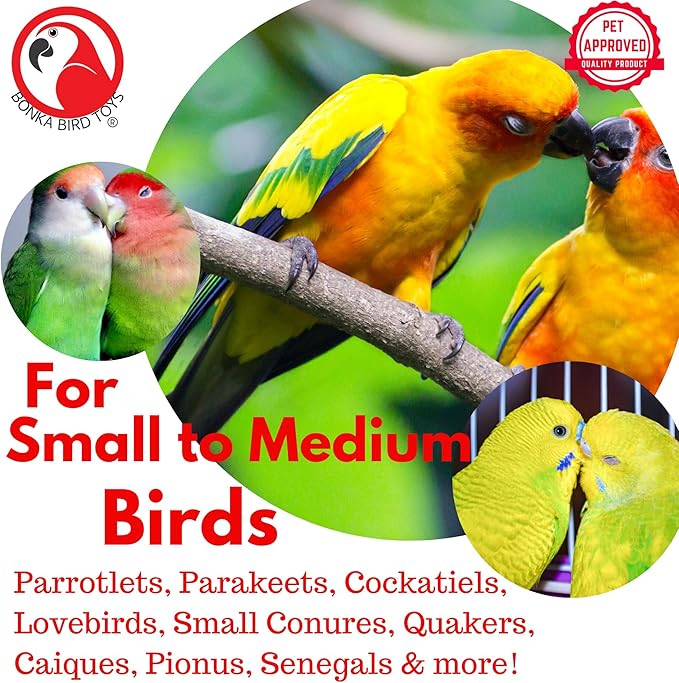Bonka Bird Toys 3875 Take Out Small Medium Bird Toy Oyster Pail Treat Box Foraging Paper Chew Shred Cockatiel Parakeet Conures and Other Similar Birds
