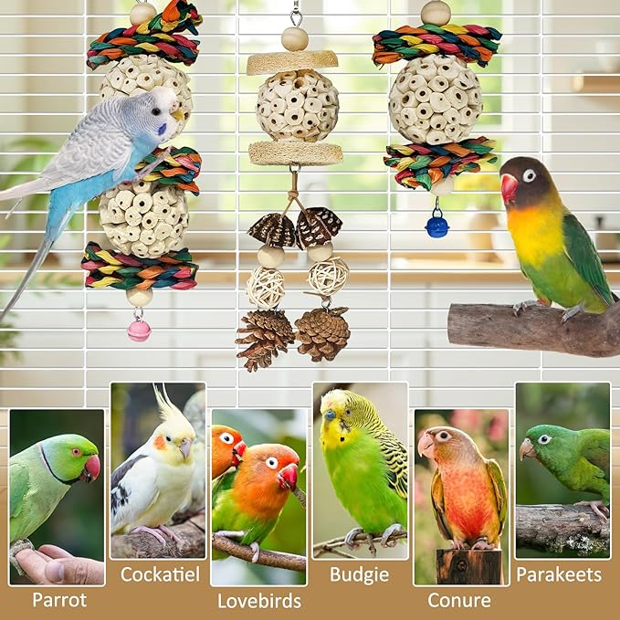 BNOSDM Hanging Bird Toy Sola Balls 3PCS Parrot Shredder Balls Natural Parakeet Foraging Toy Wood Bird Cage Chew Toys for Cockatiel, Budgie, Sun Conure, Quakers, Lovebirds (B)