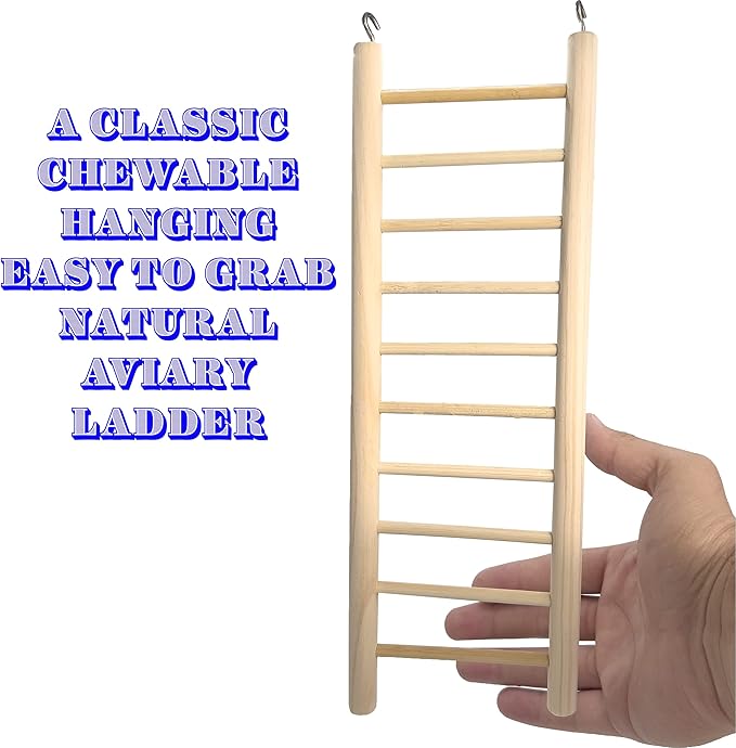 4000 12 Inch Natural Pine Hook Ladder - Straightforward Hanging Wood Ladder, Made from Natural Unfinished Pine Wood, Easy to Grab Round Parts, Great Exercise for pet Birds Budgie Finch Lovebird