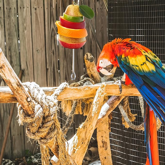 3 Pcs Bird Cage Food Holder Parrot, Stainless Steel Parrot Fruit Vegetable Stick Holders, Bird Food Treats Skewer, Birds Cage Feeder Foraging Toy Hanging Rodent Toy for Parakeet Budgie Macaw