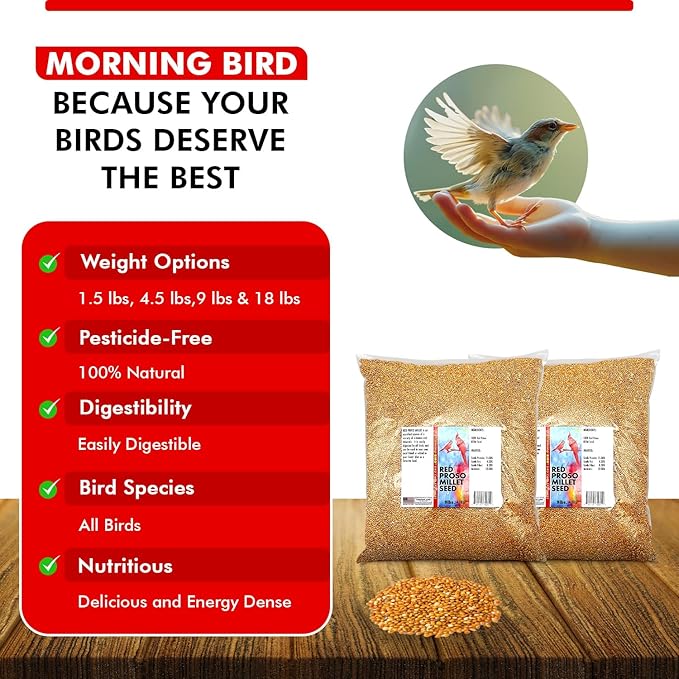 Morning Bird Red Proso Millet Bird Seeds 18 lbs (2-Pack, 9 lbs Each) – Healthy & Nutritious Pet Bird Food - Bird Seeds for Feather Growth – Perfect for Finches, Parakeets & Other All Pet Birds