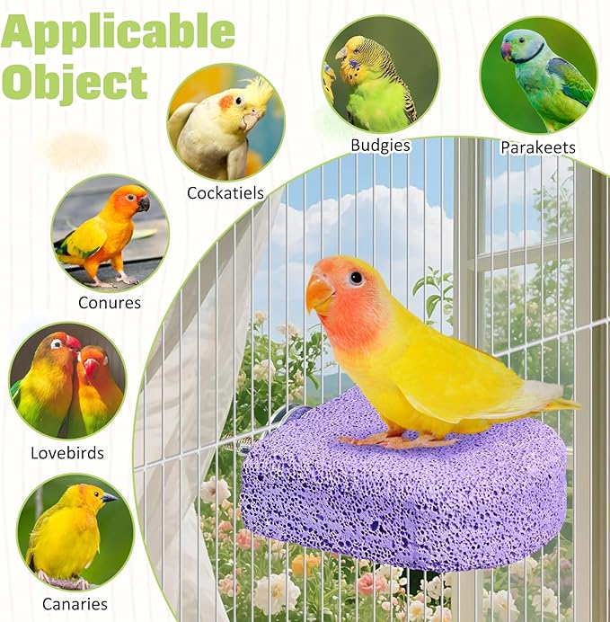 BNOSDM 4 Pcs Bird Beak Grinding Stone Chew Toy Parrot Calcium Perch Bird Stand Platform Parakeet Cage Accessories for Budgies, Cockatiels, Conures, Lovebirds, Finch (Purple)