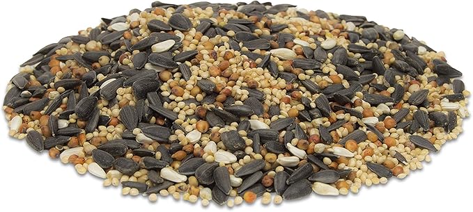 Morning Song 11353 Deluxe Wild Bird Food, 40-Pound