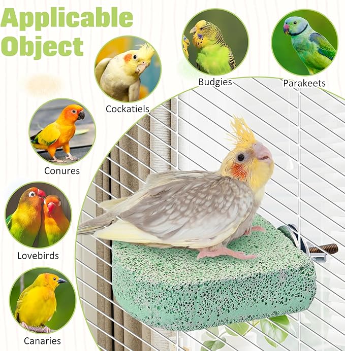 BNOSDM 4 Pcs Bird Beak Grinding Stone Chew Toy Parrot Calcium Perch Bird Stand Platform Parakeet Cage Accessories for Budgies, Cockatiels, Conures, Lovebirds, Finch (Green)