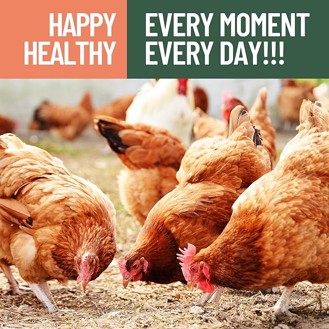 5LB Premium Non-GMO Dried Mealworms for Chickens, Ducks, Wild Birds, Quails & Reptiles High-Protein Natural Treats & Feed