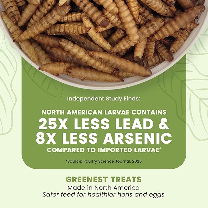 Black Soldier Fly Larvae for Chickens & Ducks – 11lb Dried Worms & Grubs – High Protein & Calcium Mealworms Alternative | Dried Black Fly Larvae for Chickens Bulk – Non-GMO, Farmed in North America