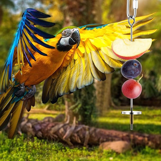 Weewooday 3 Pcs Bird Cage Food Holder Parrot Fruit Vegetable Skewer Stainless Steel Stick Feeder Bird Treats Skewer Parakeet Cockatoo Cockatiel Cage Treating Tool Small Animal Hanging Foraging Toys
