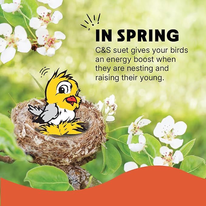 C&S Peanut Suet Treat, Suet Cakes for Wild Birds Including Nuthatches, Woodpeckers and Chickadees, Pack of 8