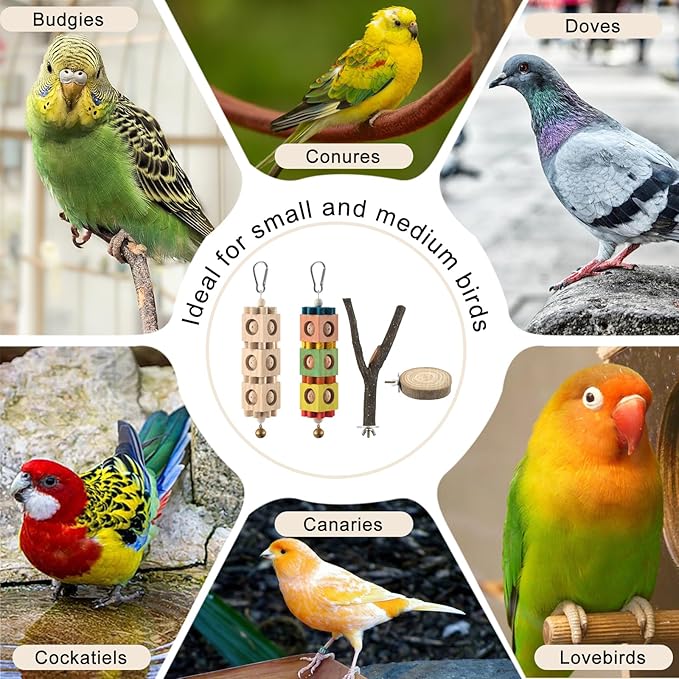 4PCS Parakeet Toys Bird Perch Set with Forked Perches & Round Log Platform, Bird Toys for Parakeets Hanging Rotating Wood Block with Bell Parrot Perch for Cockatiel, Conure, Caique