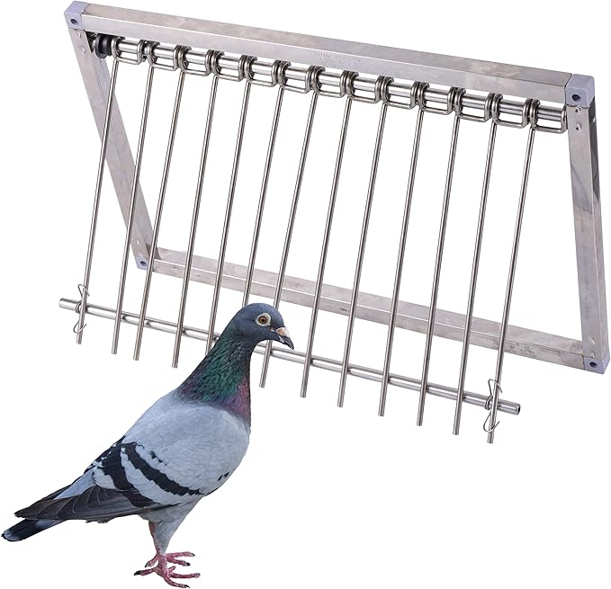 29 * 26cm Pigeon Trap Door and M Plastic Folding Pigeon Cage