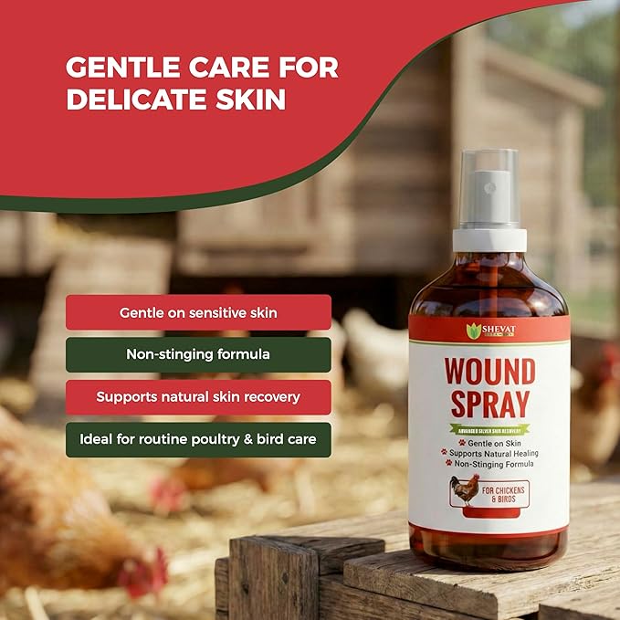 SHEVAT VITAMINS Silver Wound Spray for Chickens & Birds – Gentle Skin Relief for Scrapes, Cuts, Rashes & Irritation – Non-Stinging, Alcohol-Free, Safe for Feathers & Skin – 120ml (4oz)